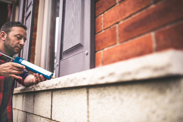 Best Local Insulation Services  in Hodgkins, IL