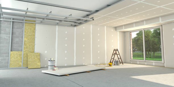 Best Insulation Inspection Services  in Hodgkins, IL