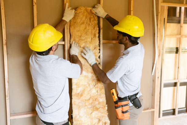 Best Affordable Insulation Services  in Hodgkins, IL