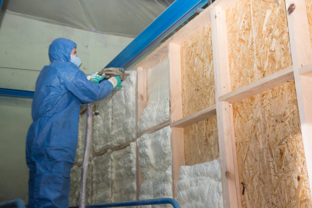 Best Garage Insulation Installation  in Hodgkins, IL