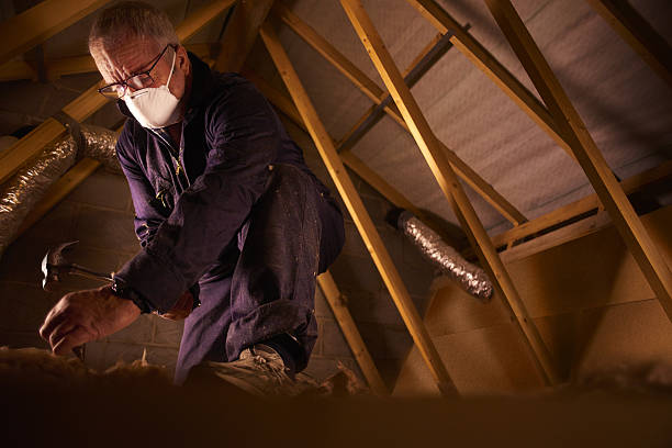 Professional Insulation Contractor in Hodgkins, IL